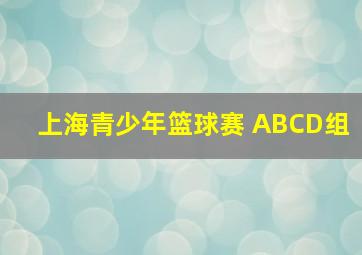 上海青少年篮球赛 ABCD组